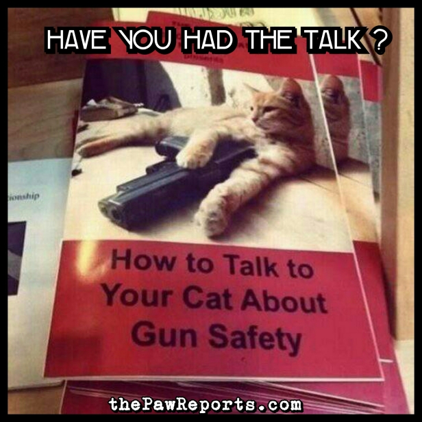 How to Talk to Your Cat About Gun Safety :-) – Dr. Greg Shaw